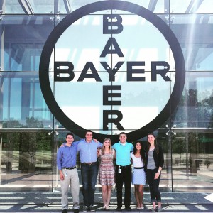 Bayer Andrea Intern