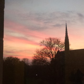 Picture Perfect Campus IMAG0415