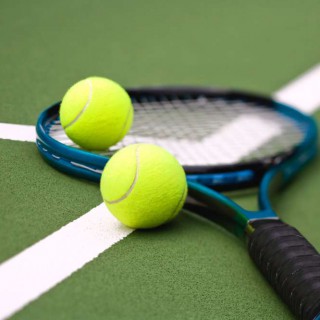 A Look at PHYE 209, Tennis Tennis Racquet Picturejpg