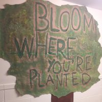 MAP West Bloom Where You are Planted