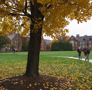 Inside Peek at an Education Degree